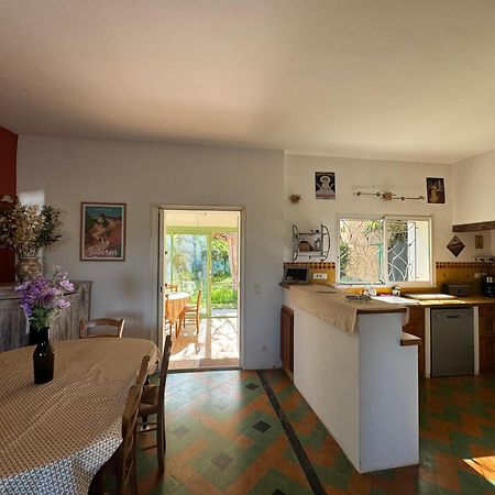 La Boissetane, Maison Provencale Avec Piscine Et Jardin, Au Pied Du Luberon Saint-Martin-de-Castillon Eksteriør billede
