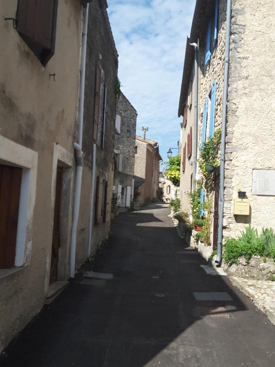 La Boissetane, Maison Provencale Avec Piscine Et Jardin, Au Pied Du Luberon Saint-Martin-de-Castillon Eksteriør billede
