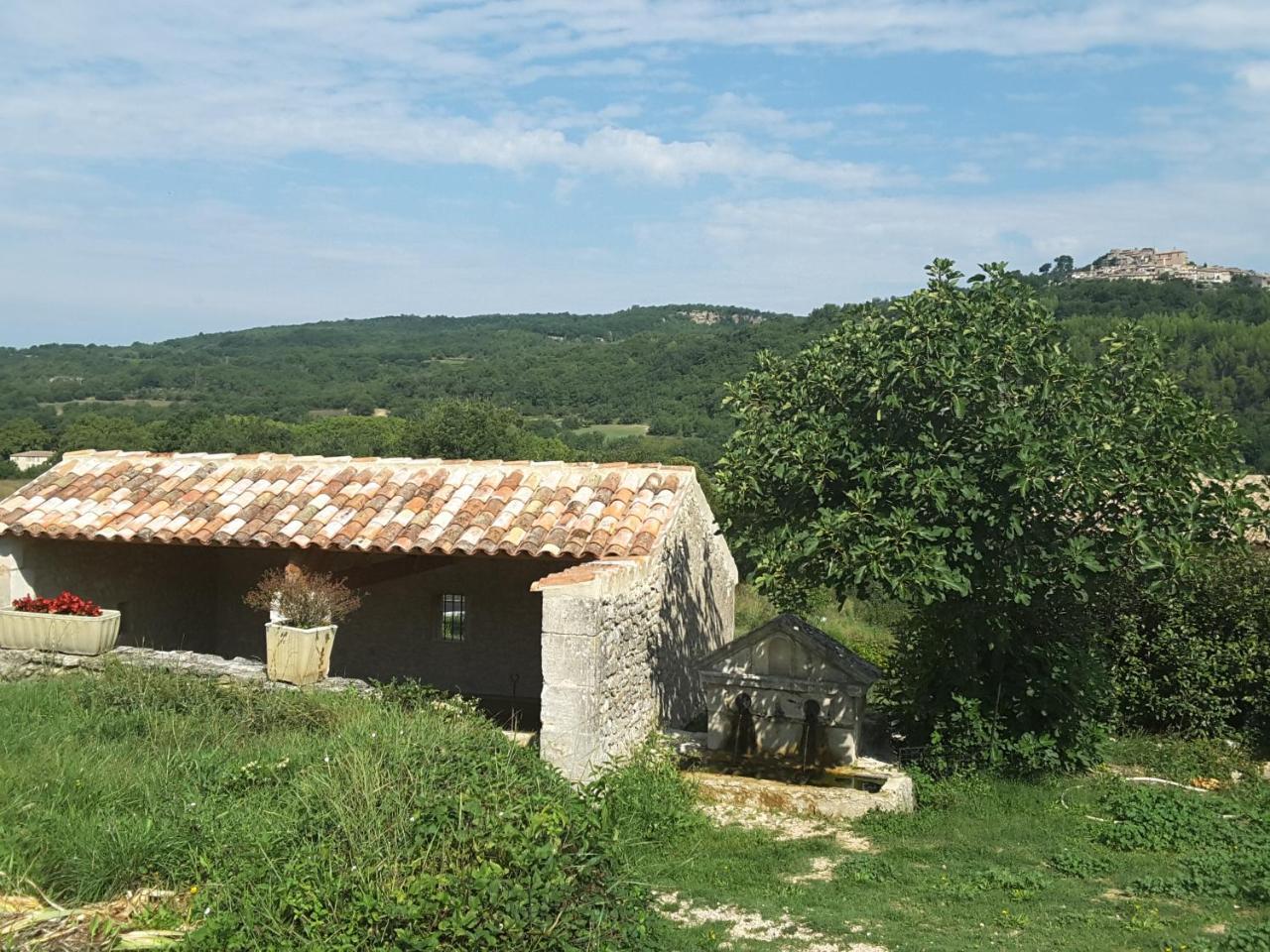 La Boissetane, Maison Provencale Avec Piscine Et Jardin, Au Pied Du Luberon Saint-Martin-de-Castillon Eksteriør billede
